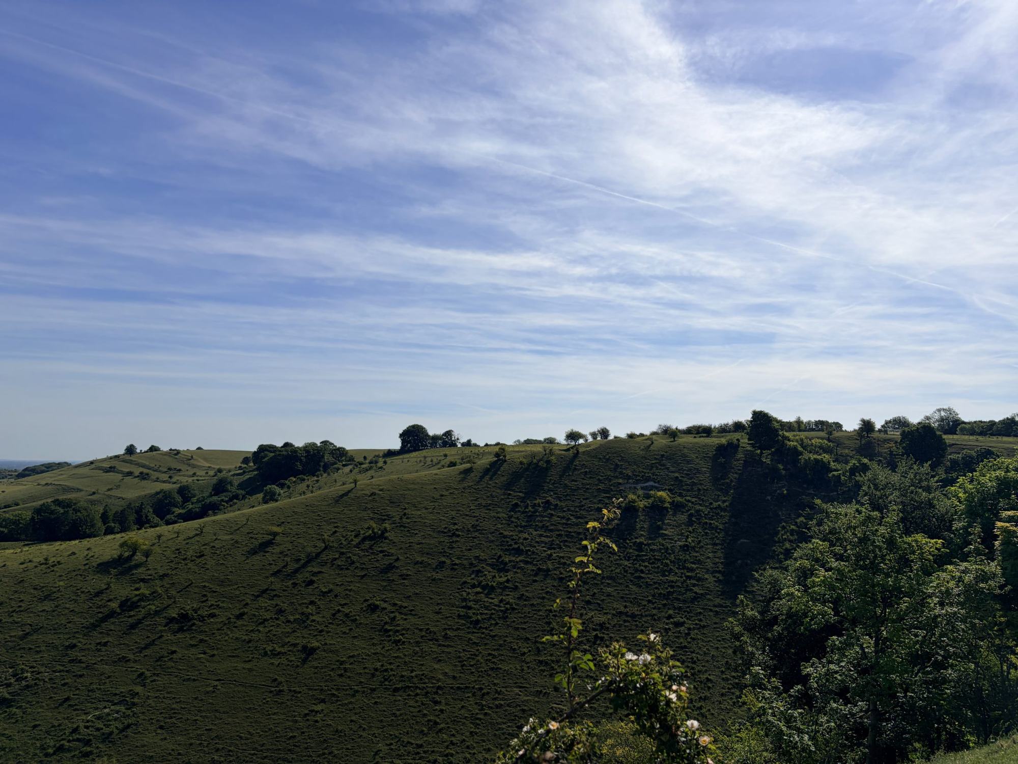 Open ground under a big sky